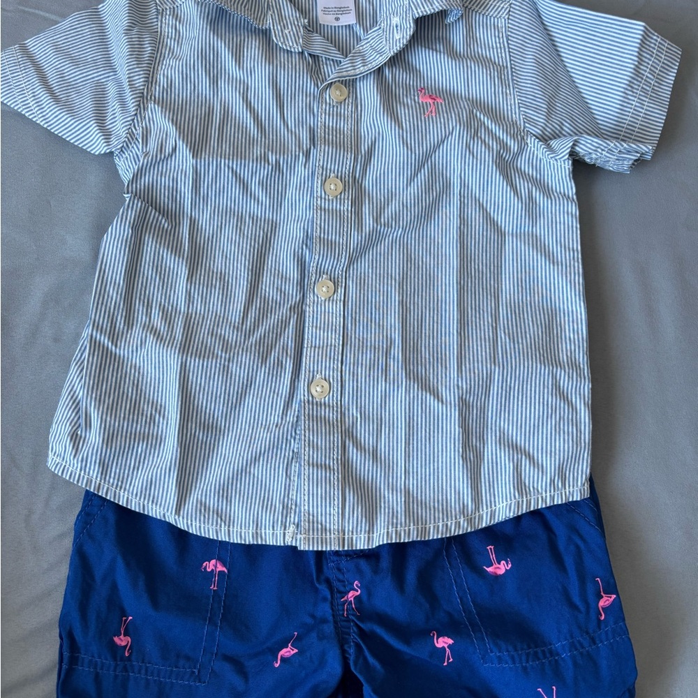 Carter's Blue and White Striped Shirt with Navy Shorts Set